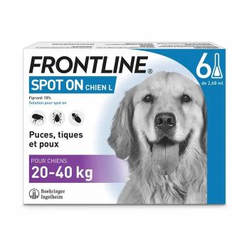 Spot On chien 20-40 kg Frontline