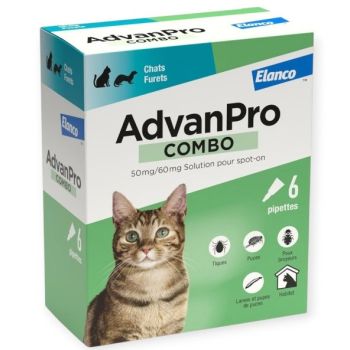 AdvanPro combo chats et furets Elanco - boite de 6 pipettes