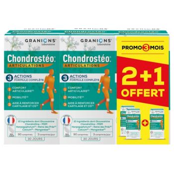 Chrondrosteo Programme de 3 mois Granions