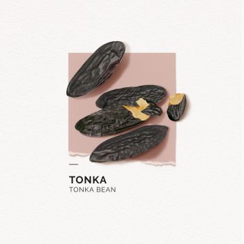 Eau de parfum Tonka Solinotes