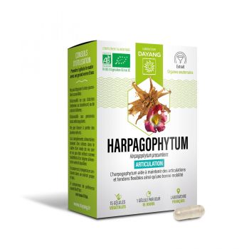 Harpagophytum Bio sphère articulaire Dayang