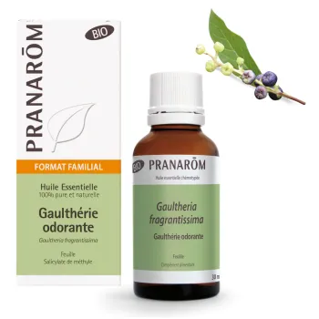 Huile essentielle de Gaulthérie odorante bio Pranarôm