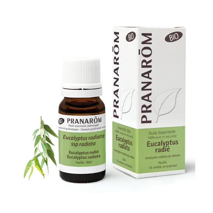 Huile essentielle d'Eucalyptus radié bio Pranarôm