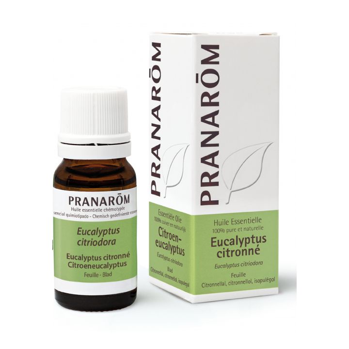 Huile essentielle d'Eucalyptus citronné Pranarôm - flacon de 10 ml