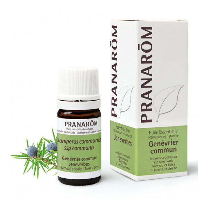 Huile essentielle de Genévrier commun Pranarôm - flacon de 5 ml