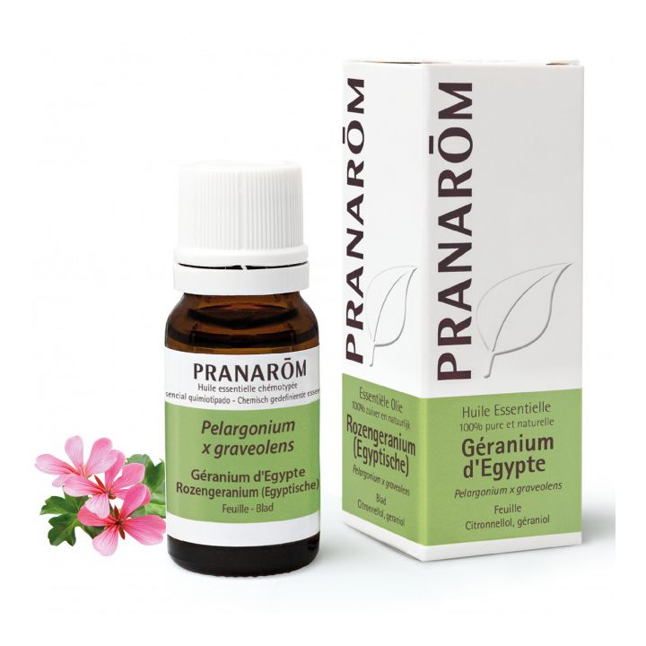 Huile essentielle de Géranium d'Egypte Pranarôm - flacon de 10 ml