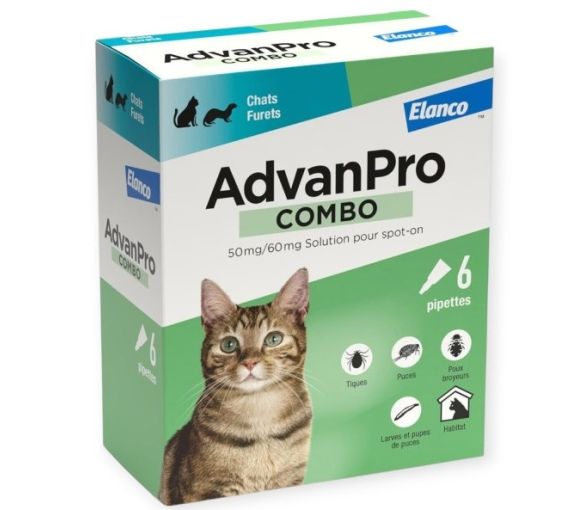 AdvanPro combo chats et furets Elanco - boite de 6 pipettes