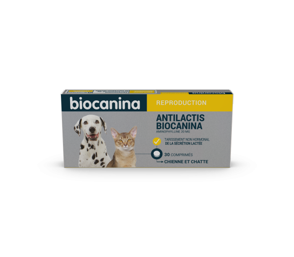 Antilactis Biocanina - boîte de 30 comprimés sécables