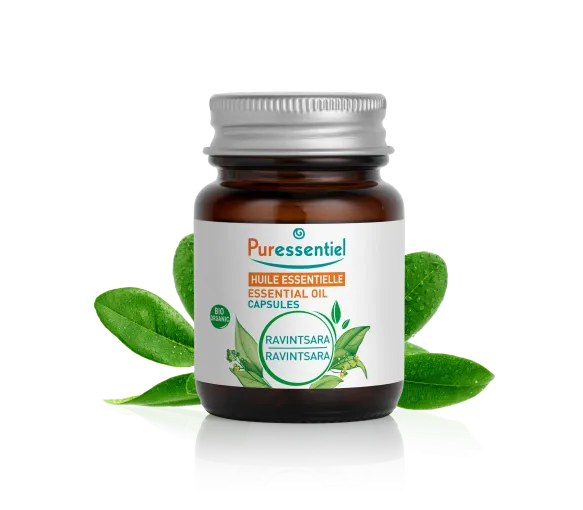 Capsules d'huile essentielle de ravintsara bio Puressentiel - boîte de 60 capsules - image 1