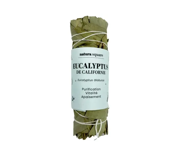Eucalyptus de Californie Natura square - 1 fagot