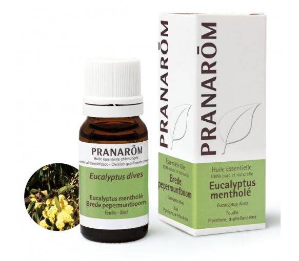 Huile Essentielle Eucalyptus Mentholé Pranarôm - flacon de 10 ml