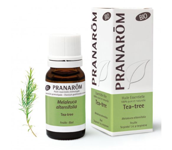 Huile essentielle Tea tree bio Pranarom - flacon de 10ml