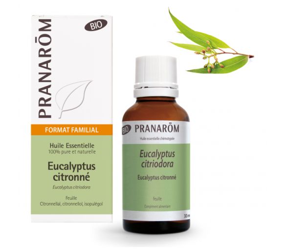 Huile essentielle d'Eucalyptus citronné bio Pranarôm - flacon de 30 ml