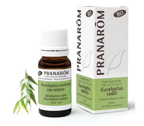 Huile essentielle d'Eucalyptus radié bio Pranarôm - flacon de 30 ml