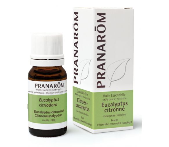 Huile essentielle d'Eucalyptus citronné Pranarôm - flacon de 10 ml
