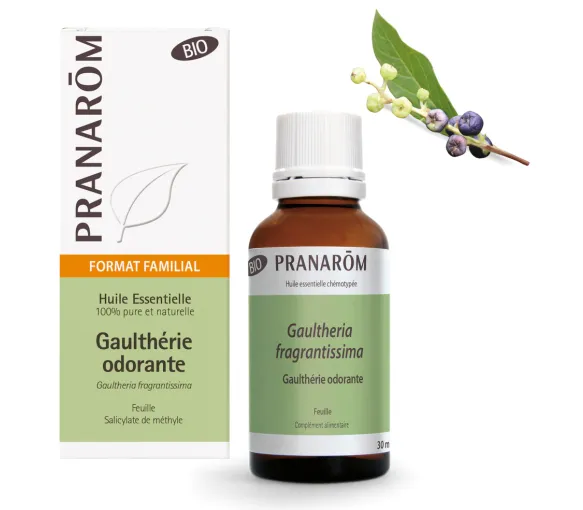 Huile essentielle de Gaulthérie odorante bio Pranarôm - image 1