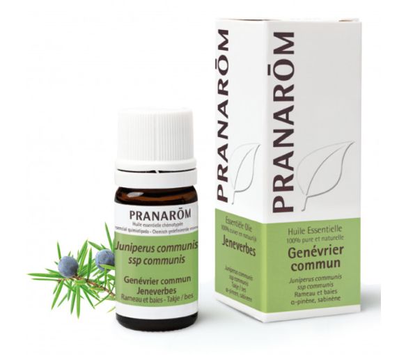 Huile essentielle de Genévrier commun Pranarôm - flacon de 5 ml