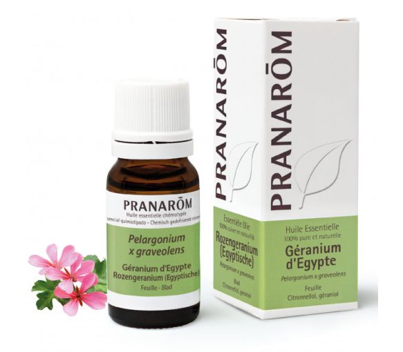 Huile essentielle de Géranium d'Egypte Pranarôm - flacon de 10 ml