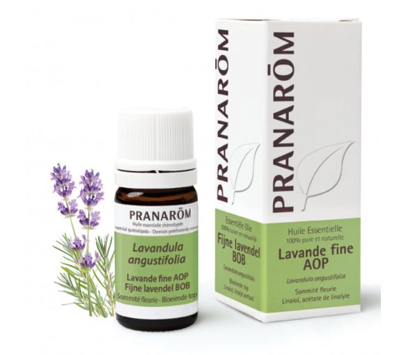 Huile essentielle de Lavande fine AOP Pranarôm - flacon de 5 ml