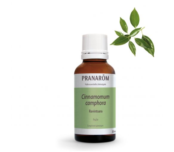 Huile essentielle de Ravintsara Bio Pranarôm - flacon de 30 ml