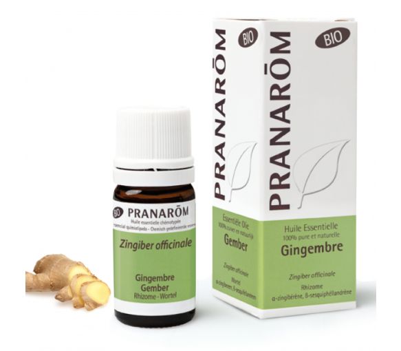 Huile essentielle de gingembre bio Pranarôm - flacon de 5 ml