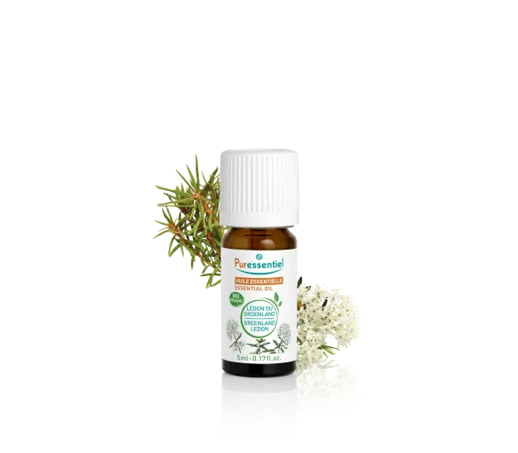 Huile essentielle lédon du groenland bio Puressentiel - flacon de 5ml - image 1