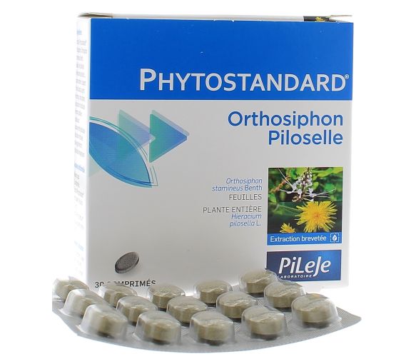 Phytostandard d'orthosiphon et de piloselle Pileje - boîte de 30 comprimés