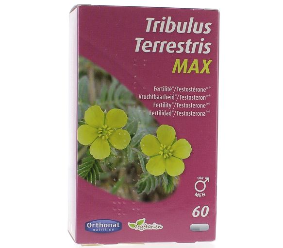 Tribulus Terrestris Max Orthonat - boîte de 60 gélules