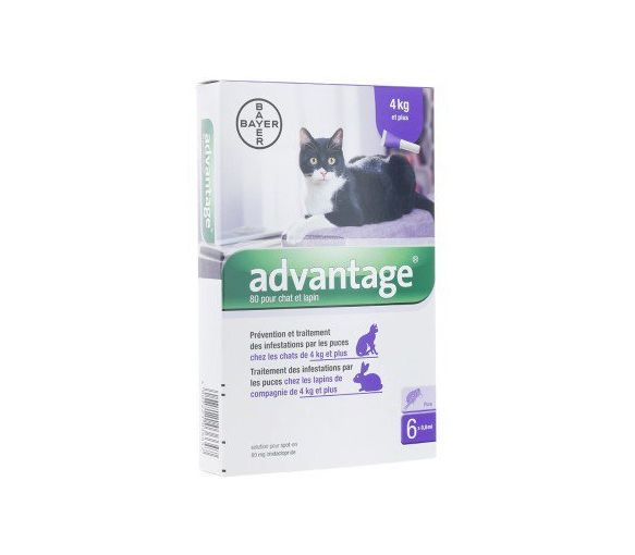 Advantage 80 pour chat et lapin plus de 4 kg Bayer - boite de 6 pipettes - image 1