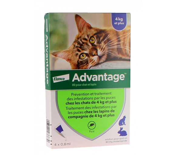 Advantage 80 pour chat et lapin plus de 4 kg Bayer - boite de 4 pipettes - image 1