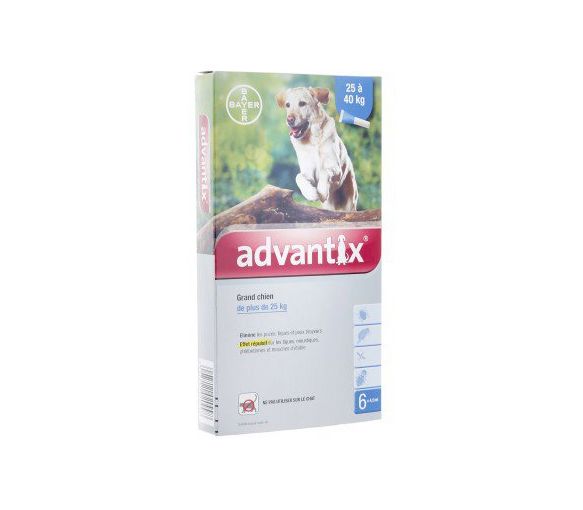 Advantix grand chien de plus de 25 kg Bayer - boite de 6 pipettes