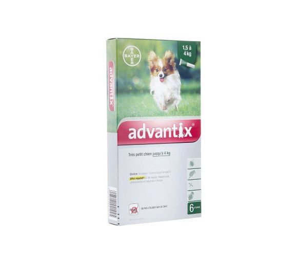 Advantix très petit chien jusqu'à 4 kg Bayer - boite de 6 pipettes