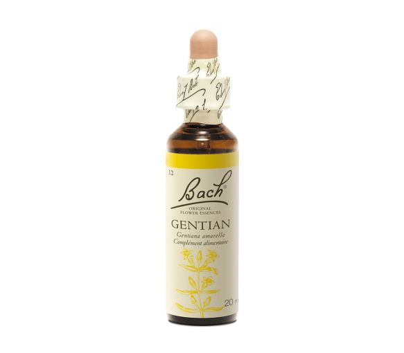 Fleur de Bach Gentian Gentiana amarella - flacon de 20 ml - image 1