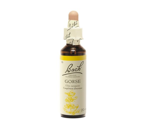 Fleur de Bach Gorse Ulex europaeus - flacon de 20 ml - image 1