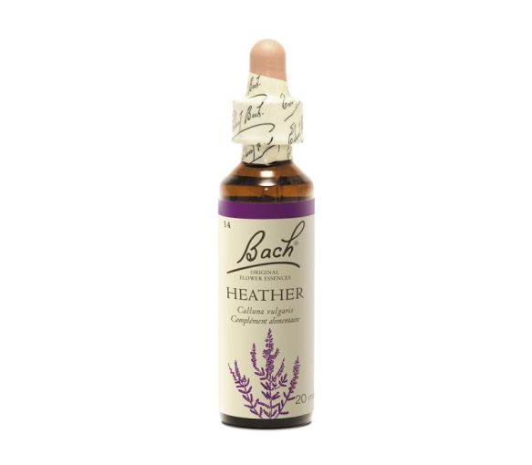 Fleur de Bach Heather Calluna vulgaris - flacon de 20 ml - image 1