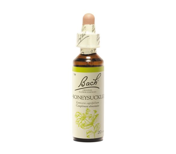 Fleur de Bach Honeysuckle Lonicera caprifolium - flacon de 20 ml - image 1