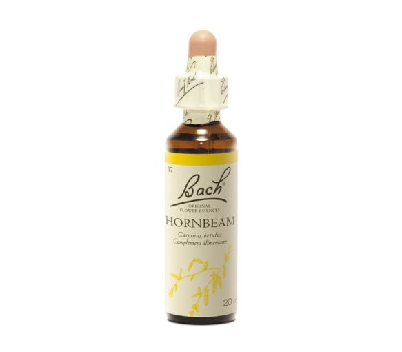 Fleur de Bach Hornbeam Carpinus betulus - flacon de 20 ml - image 1