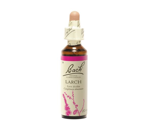 Fleur de Bach larch Larix decidua - flacon de 20 ml - image 1