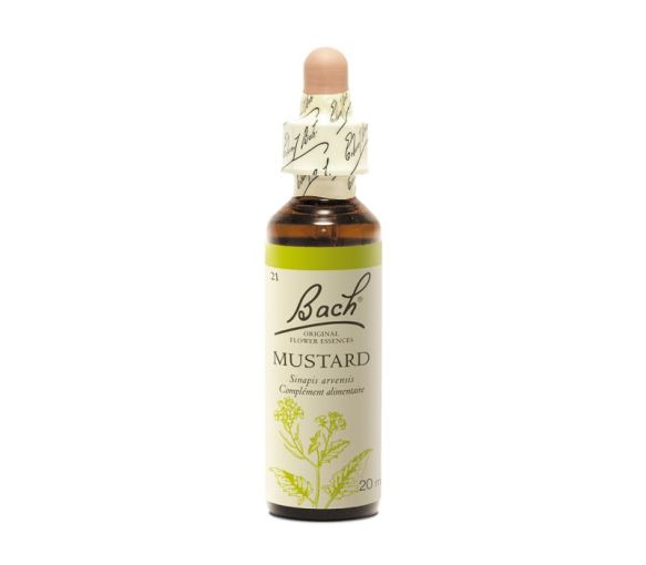 Fleur de Bach Mustard Sinapis arvensis - flacon de 20 ml - image 1