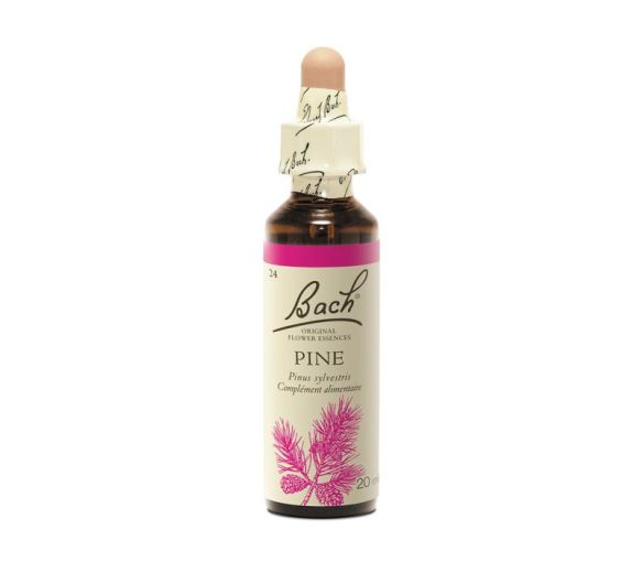 Fleur de Bach Pine Pinus sylvestris - flacon de 20 ml - image 1