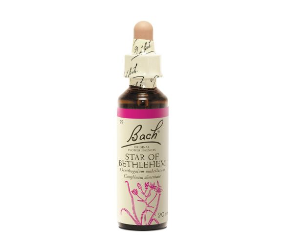 Fleur de Bach Star Of Bethlehem Ornithogalum umbellatum - flacon de 20 ml - image 1