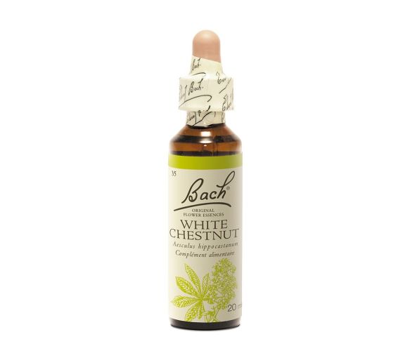 Fleur de Bach White Chestnut Aesculus hippocastanum - flacon de 20 ml - image 1