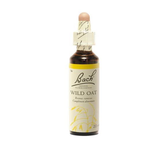 Fleur de Bach Wild Oat Bromus ramosus - flacon de 20 ml - image 1