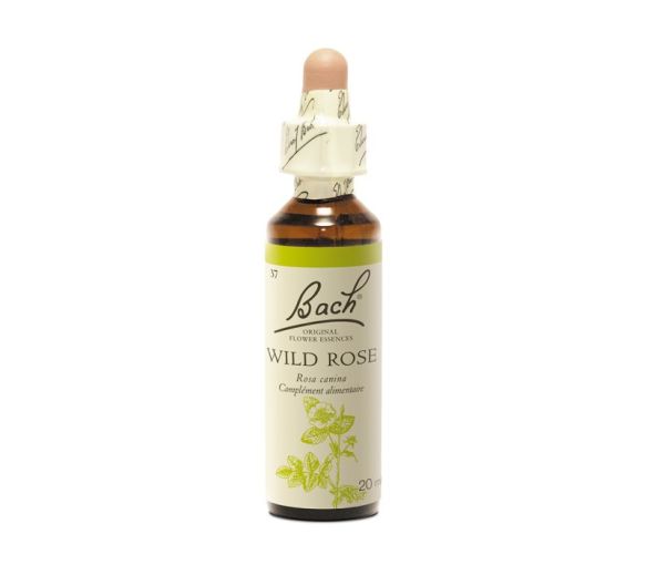 Fleur de Bach Wild Rose Rosa canina - flacon de 20 ml - image 1