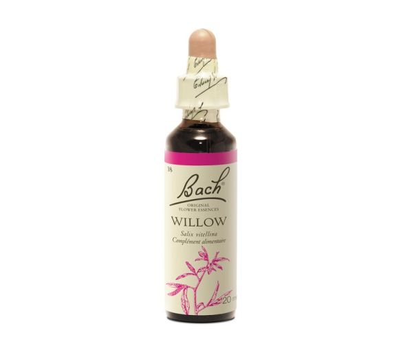 Fleur de Bach Willow Salix vitellina - flacon de 20 ml - image 1