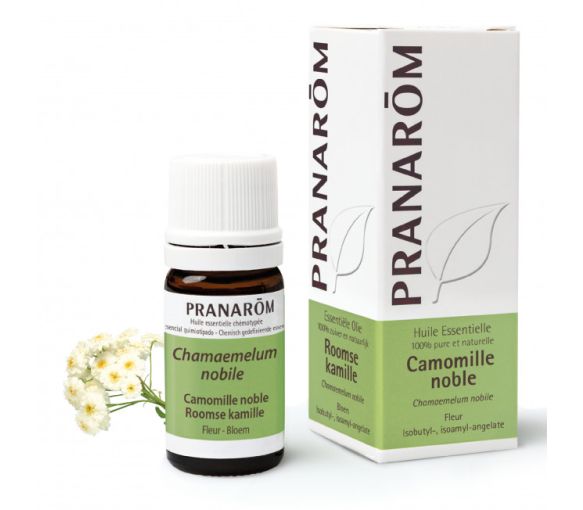 Huile essentielle de camomille noble Pranarom - flacon de 5 mL - image 1